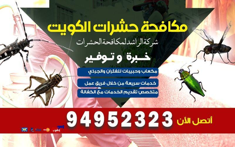 مكافحة البق