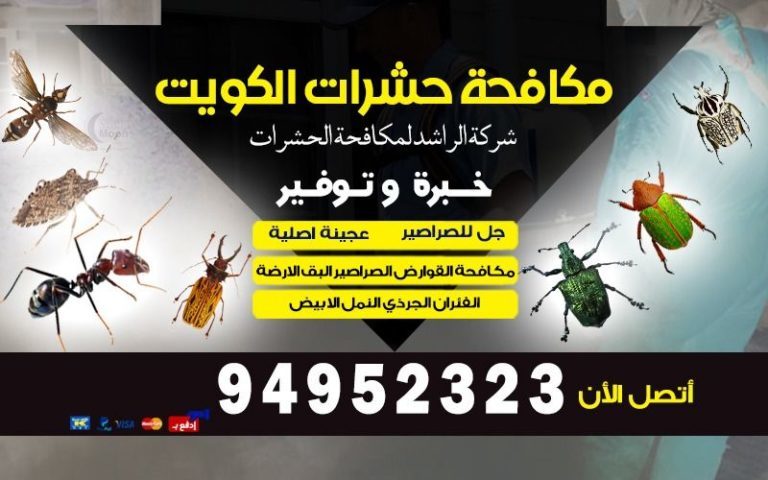 مكافحة الحشرات المنزلية