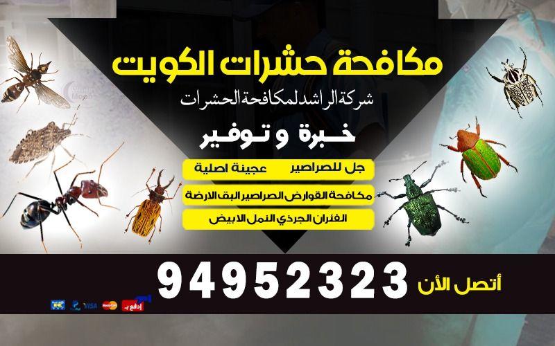 مكافحة الحشرات المنزلية