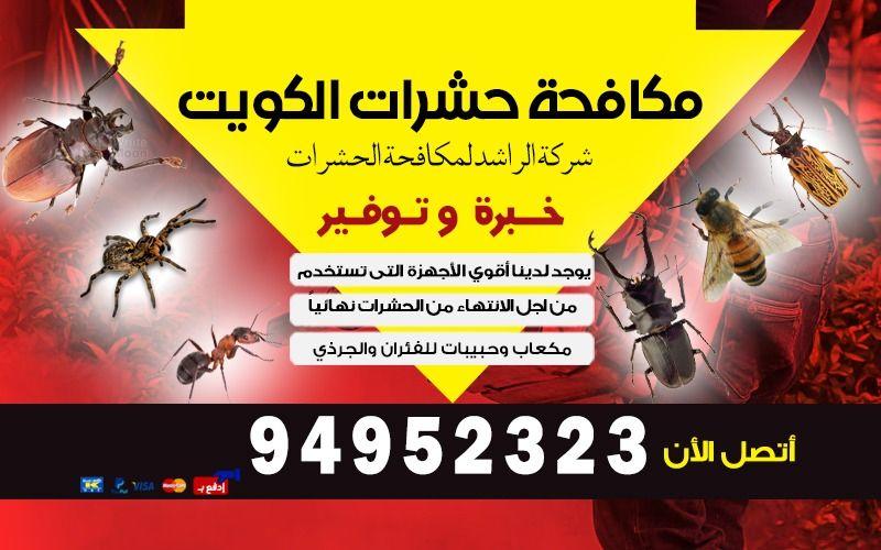 حشرات الكويت