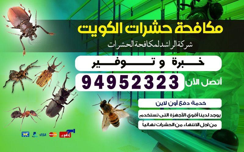 مكافحة النمل الأبيض الارضة
