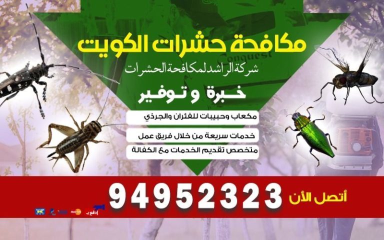 رش حشرات الكويت