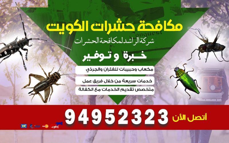 رش حشرات الكويت