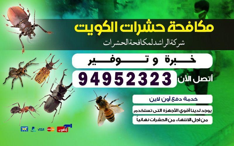 مكافحة حشرات وقوارض الكويت