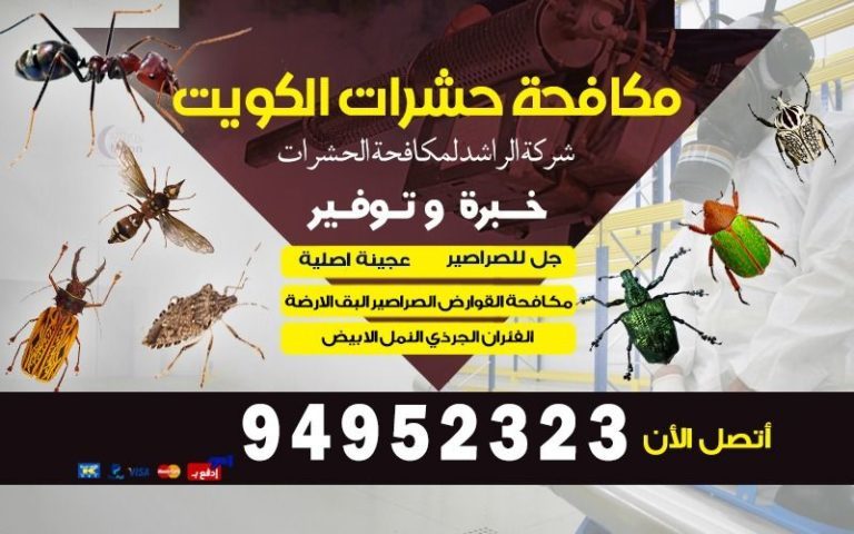 افضل شركة مكافحة حشرات بالكويت