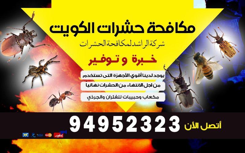 شركة مكافحة حشرات الكويت