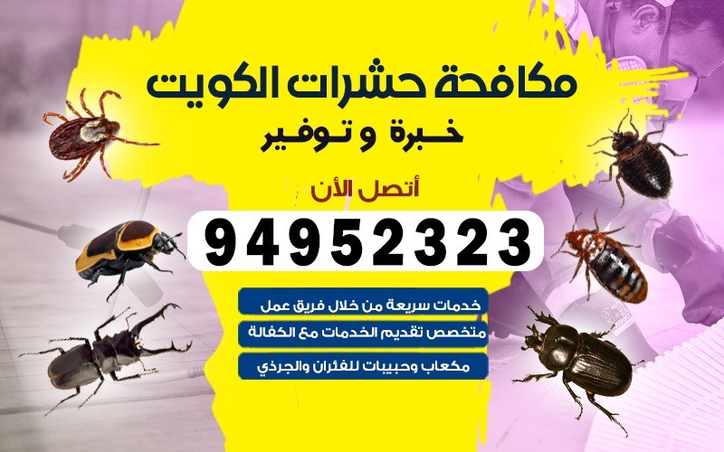 مكافحة بق الفراش