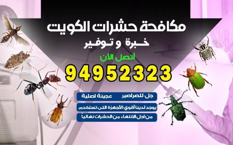مكافحة الحشرات في المنطقة العاشرة