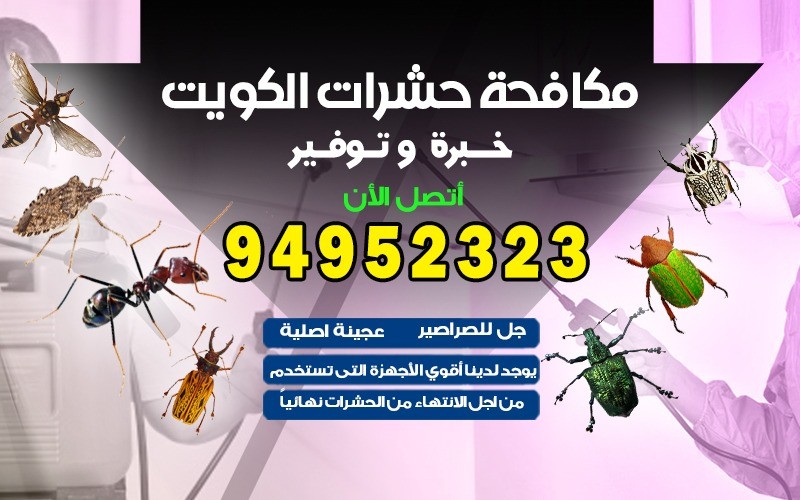 مكافحة الحشرات في المنطقة العاشرة