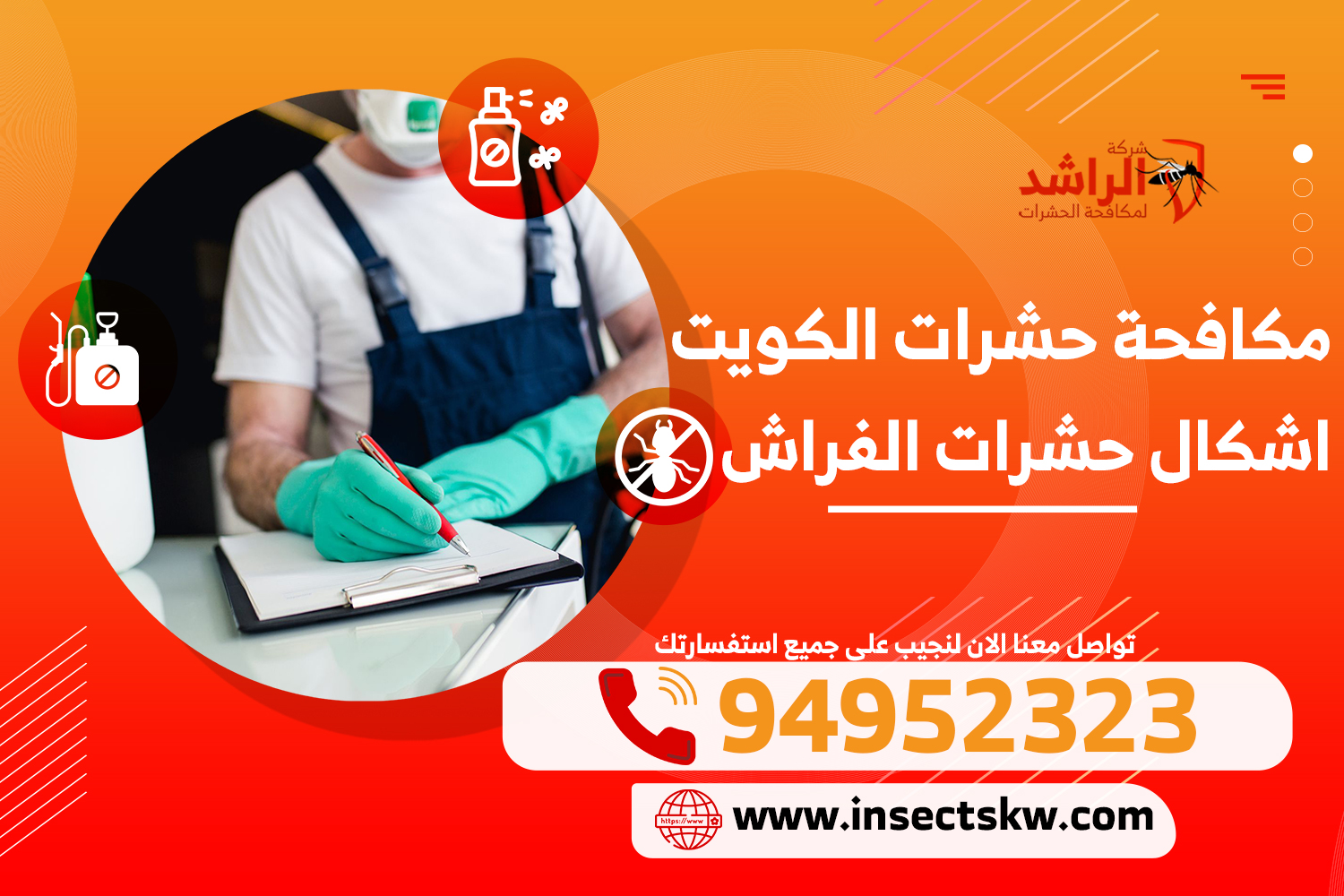 اشكال حشرات الفراش