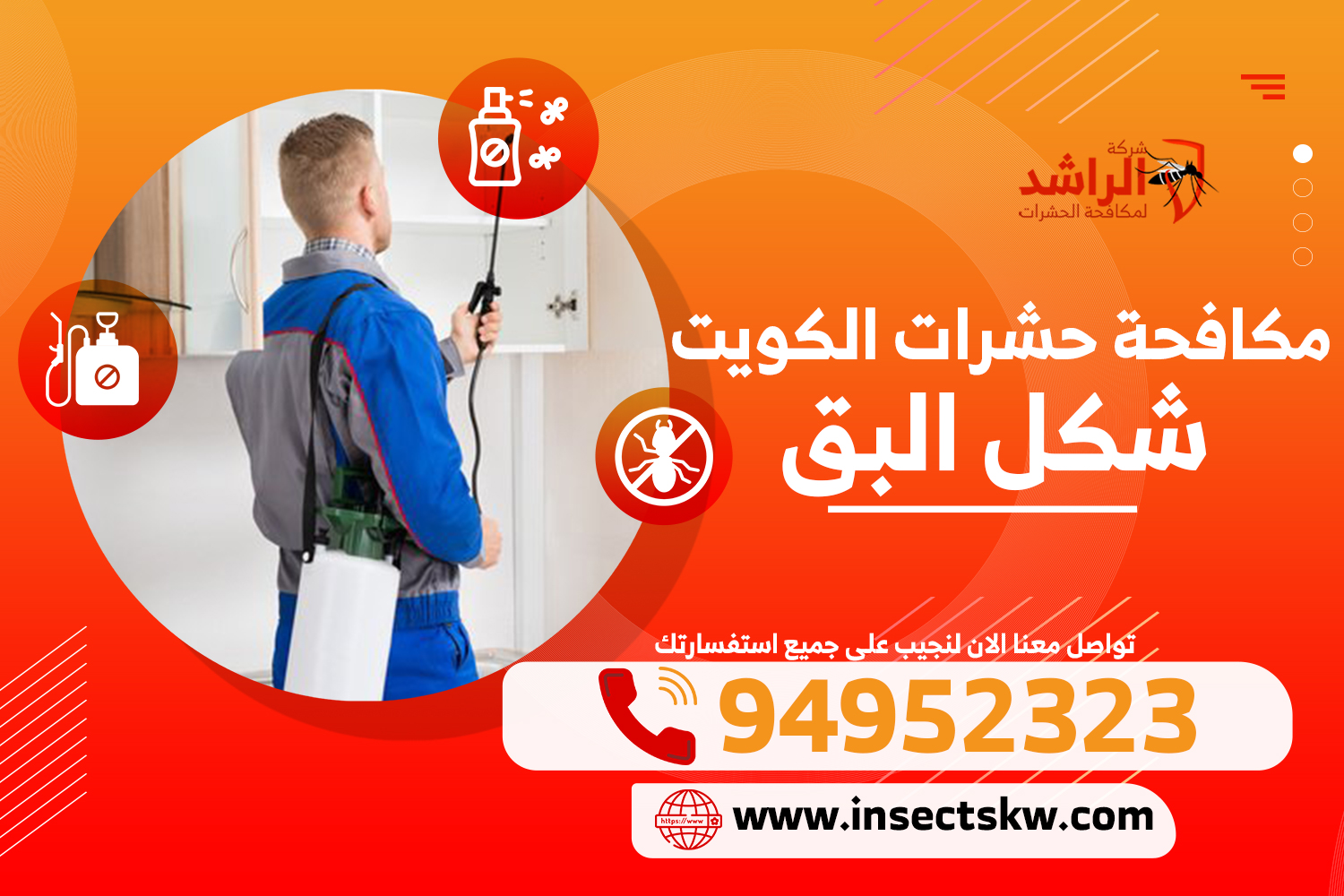 شكل البق