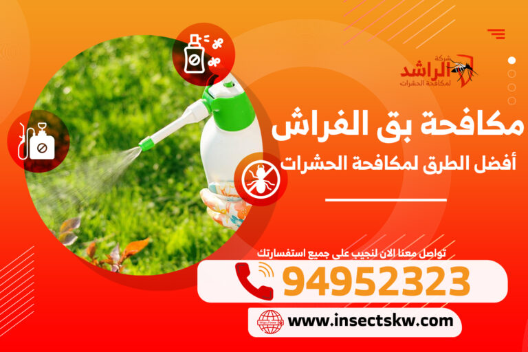 مكافحة بق الفراش | مكافحة حشرات الكويت 94952323