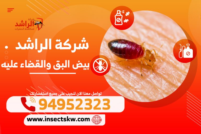 بيض البق والقضاء عليه | شركة الراشد لمكافحة الحشرات بالكويت