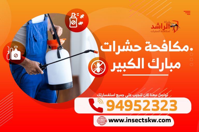 مكافحة حشرات مبارك الكبير