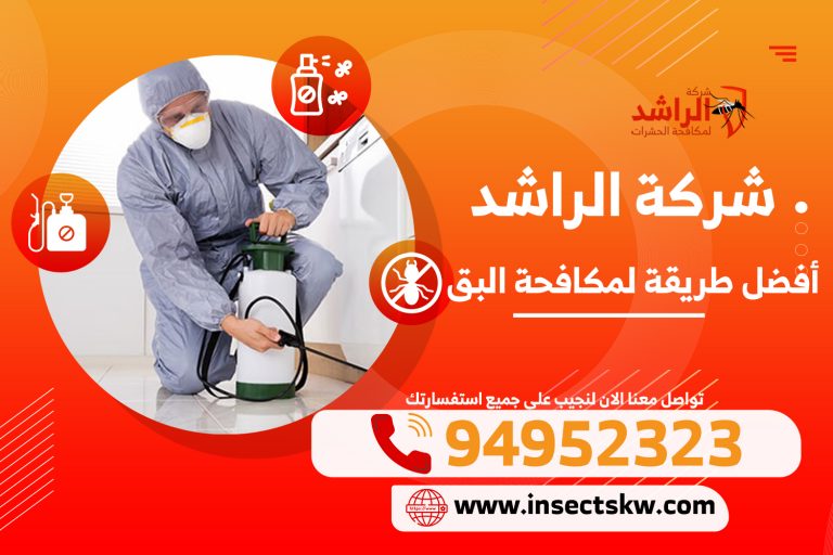 شركات مكافحة البق في الكويت