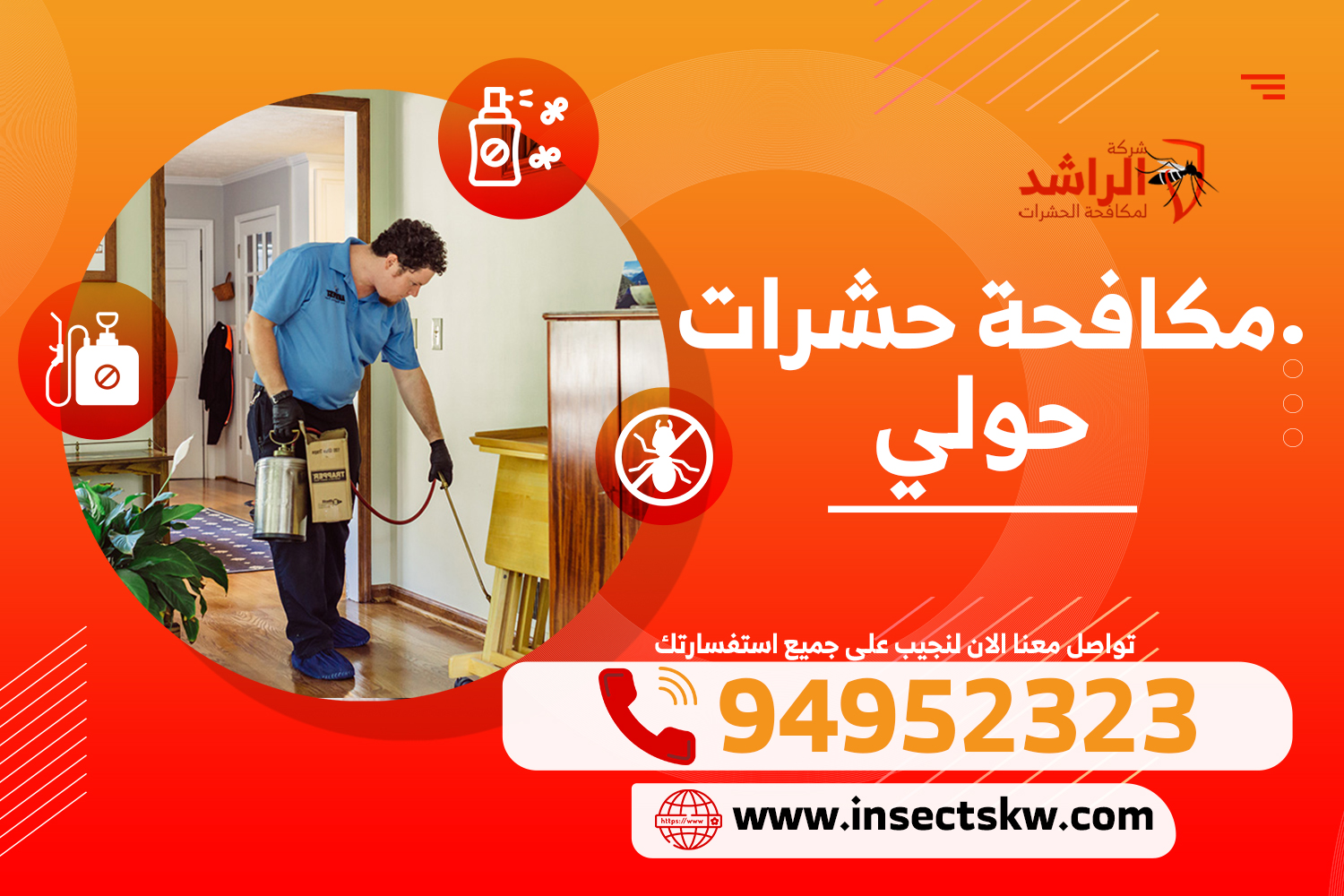 مكافحة حشرات حولي