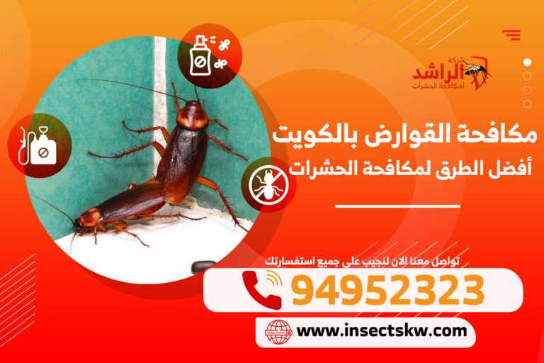 مكافحة القوارض بالكويت