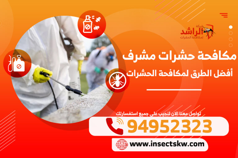 مكافحة حشرات مشرف