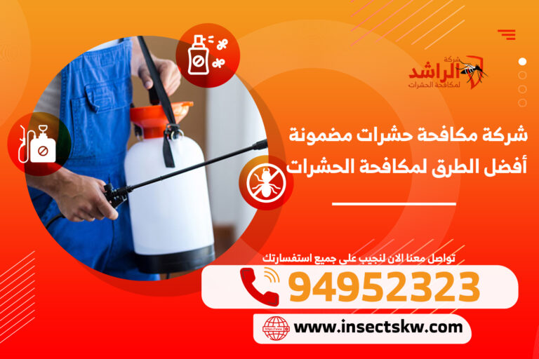 شركة مكافحة حشرات مضمونة